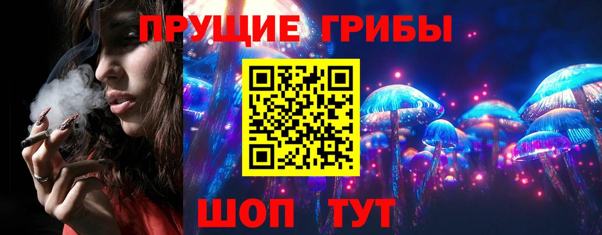 Кемерово  Псилоцибиновые грибы мицелий  Псилоцибиновые грибы мицелий  Вход с VPN 